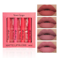 4Pcs Long Lasting Waterproof Lip Gloss Matte Liquid Lipstick makeup set for Girls and Women